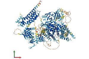 AlphaFold protein structure predicition of Human Recombinant PREX2 Protein, UniprotID Q70Z35
