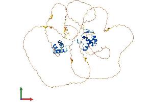 AlphaFold protein structure predicition of Human Recombinant PAX1 Protein, UniprotID P15863