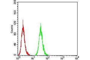 Flow cytometric analysis of Hela cells using ATG16L1 mouse mAb (green) and negative control (red).