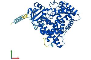 AlphaFold protein structure predicition of Mouse Recombinant Cyp2c40 Protein, UniprotID P56657