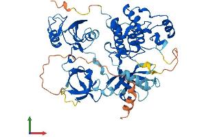 AlphaFold protein structure predicition of Human Recombinant FRK Protein, UniprotID P42685