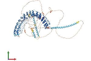 AlphaFold protein structure predicition of Human Recombinant INVS Protein, UniprotID Q9Y283
