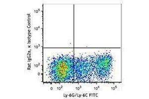 Flow Cytometry (FACS) image for anti-Chemokine (C-X-C Motif) Receptor 2 (CXCR2) antibody (Alexa Fluor 647) (ABIN2657139)