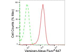 Flow cytometric analysis of Versican expression in HepG2 cells using Versican antibody (ABIN7800829), 1:2,000).