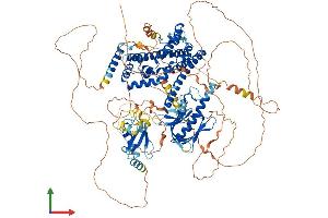 AlphaFold protein structure predicition of Mouse Recombinant Plekhg5 Protein, UniprotID Q66T02