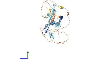 AlphaFold protein structure predicition of Human Recombinant ZNF398 Protein, UniprotID Q8TD17
