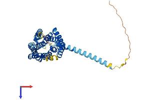 G Protein-Coupled Receptor 42 (GPR42) (AA 1-346) protein (His tag)