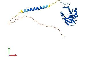 AlphaFold protein structure predicition of Human Recombinant KLRK1 Protein, UniprotID P26718