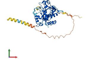 AlphaFold protein structure predicition of Mouse Recombinant St6galnac5 Protein, UniprotID Q9QYJ1