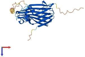 AlphaFold protein structure predicition of Human Recombinant TIPRL Protein, UniprotID O75663