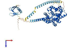 AlphaFold protein structure predicition of Mouse Recombinant Pde9a Protein, UniprotID O70628