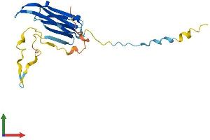 AlphaFold protein structure predicition of Human Recombinant HSPB2 Protein, UniprotID Q16082