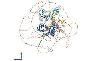 AlphaFold protein structure predicition of Human Recombinant ALG13 Protein, UniprotID Q9NP73