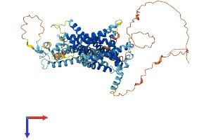 AlphaFold protein structure predicition of Mouse Recombinant Slc34a1 Protein, UniprotID Q60825