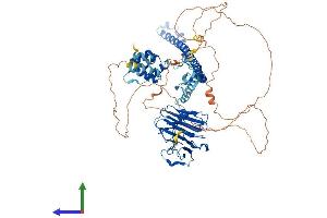 AlphaFold protein structure predicition of Human Recombinant MEFV Protein, UniprotID O15553