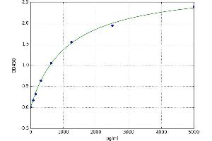 Neurofilament, Heavy Polypeptide (NEFH) ELISA Kit