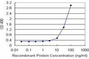 Sandwich ELISA detection sensitivity ranging from 3 ng/mL to 100 ng/mL. (NOP16 (Humain) Matched Antibody Pair)