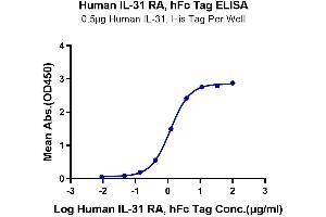 ELISA image for Interleukin 31 Receptor A (IL31RA) (AA 20-519) protein (Fc Tag) (ABIN7275030)
