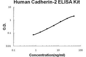 Human Cadherin-2/N-Cadherin Accusignal ELISA Kit Human Cadherin-2/N-Cadherin AccuSignal ELISA Kit standard curve. (N-Cadherin Kit ELISA)