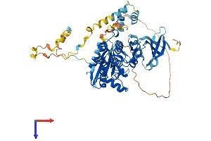 AlphaFold protein structure predicition of Human Recombinant PRKAA2 Protein, UniprotID P54646