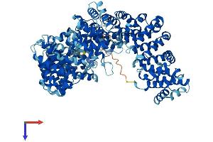 AlphaFold protein structure predicition of Human Recombinant CSE1L Protein, UniprotID P55060