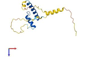 AlphaFold protein structure predicition of Mouse Recombinant Id2 Protein, UniprotID P41136