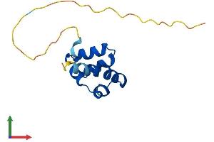 AlphaFold protein structure predicition of Human Recombinant SAMD13 Protein, UniprotID Q5VXD3