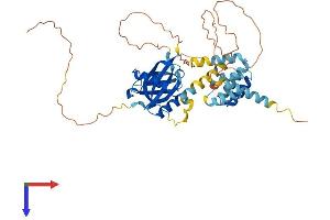 AlphaFold protein structure predicition of Human Recombinant CCM2 Protein, UniprotID Q9BSQ5