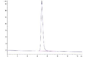 The purity of Cynomolgus GITR Ligand is greater than 95 % as determined by SEC-HPLC.
