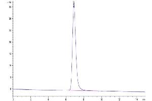 The purity of Cynomolgus GITR Ligand is greater than 95 % as determined by SEC-HPLC. (TNFSF18 Protein (AA 72-199) (His tag))
