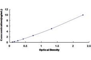 Typical standard curve (Cathepsin G Kit ELISA)