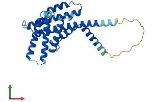 AlphaFold protein structure predicition of Human Recombinant PEX11B Protein, UniprotID O96011