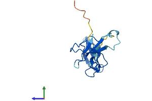 AlphaFold protein structure predicition of Human Recombinant POLR2I Protein, UniprotID P36954