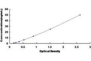 Typical standard curve (CELSR2 Kit ELISA)