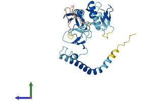 AlphaFold protein structure predicition of Human Recombinant RNF144A Protein, UniprotID P50876