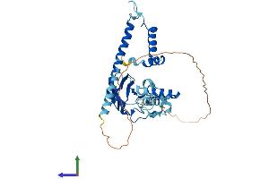 AlphaFold protein structure predicition of Mouse Recombinant Nudcd3 Protein, UniprotID Q8R1N4