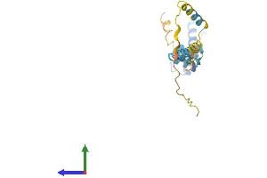 AlphaFold protein structure predicition of Mouse Recombinant Dnajc5 Protein, UniprotID P60904