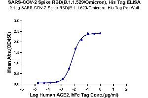 Immobilized SARS-COV-2 Spike RBD (B.