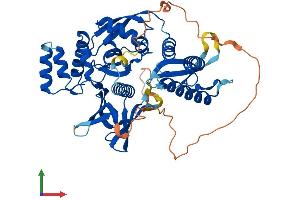 AlphaFold protein structure predicition of Mouse Recombinant Snx17 Protein, UniprotID Q8BVL3