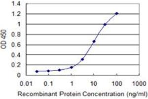 anti-ER Degradation Enhancer, Mannosidase alpha-Like 1 (EDEM1) (AA 559-656) antibody