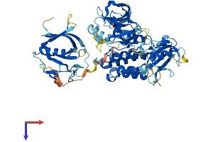 AlphaFold protein structure predicition of Mouse Recombinant Tec Protein, UniprotID P24604