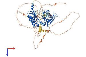 AlphaFold protein structure predicition of Human Recombinant PIP5K1C Protein, UniprotID O60331