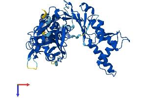 AlphaFold protein structure predicition of Human Recombinant SHPK Protein, UniprotID Q9UHJ6