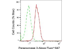 Flow cytometric analysis of Paraoxonase 3 expression in A549 cells using Paraoxonase 3 antibody (ABIN7799736), 1:2,000). (Recombinant PON3 anticorps)
