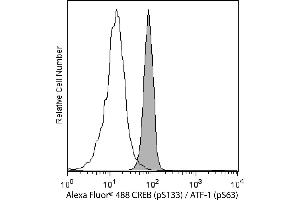 Flow Cytometry (FACS) image for anti-cAMP Responsive Element Binding Protein 1 (CREB1) (pSer133) antibody (Alexa Fluor 488) (ABIN1177049)