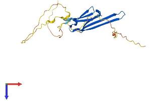 AlphaFold protein structure predicition of Human Recombinant HSPB8 Protein, UniprotID Q9UJY1