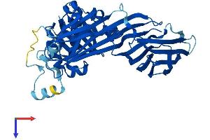 AlphaFold protein structure predicition of Mouse Recombinant Ap3m2 Protein, UniprotID Q8R2R9