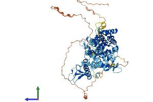 AlphaFold protein structure predicition of Human Recombinant RASGRP4 Protein, UniprotID Q8TDF6