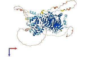 AlphaFold protein structure predicition of Mouse Recombinant Taf5 Protein, UniprotID Q8C092