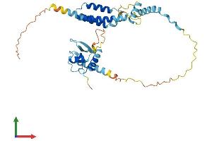 AlphaFold protein structure predicition of Human Recombinant EID3 Protein, UniprotID Q8N140